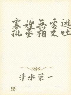 寡嫂无处逃,疯批丞相又吐血了封面