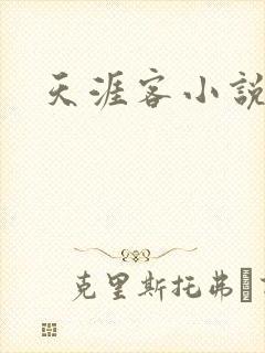 天涯客小说封面