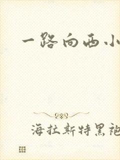 一路向西小说封面