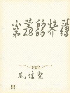 小莹的性荡生活第28的介绍