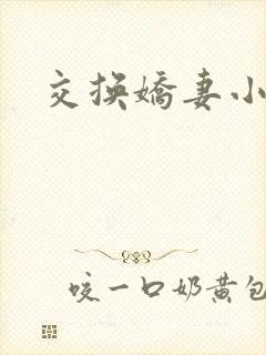 交换娇妻小说
