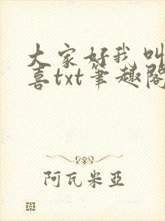 大家好我叫林小喜txt笔趣阁封面