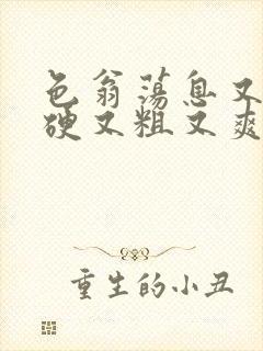 色翁荡息又大又硬又粗又爽小莹