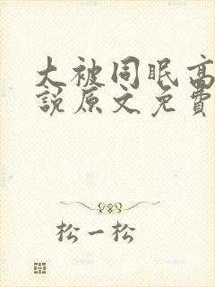 大被同眠高粱小说原文免费阅读