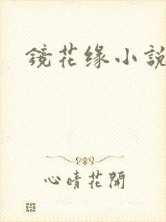 镜花缘小说