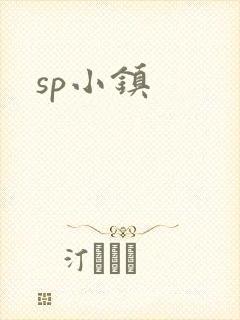 sp小镇封面