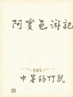 阿宾色游记封面