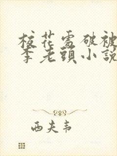 校花处破被灌满李老头小说