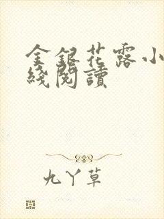 金银花露小说在线阅读