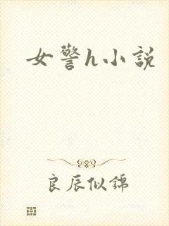 女警h小说