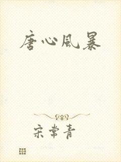 唐心风暴封面