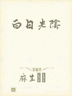 白日光阴封面