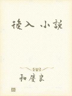 后入 小说