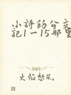 小诗的公交车日记1一15哪里能看