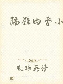 隔壁肉香小说