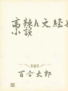 高辣h文经典乱小说