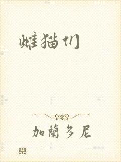 雌猫们