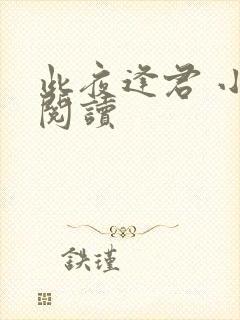 此夜逢君 小说阅读