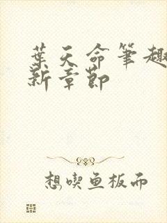 叶天命笔趣阁最新章节