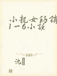 小龙女的销魂夜1一6小说