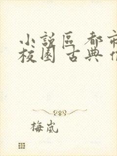 小说区 都市 校园 古典 偷拍