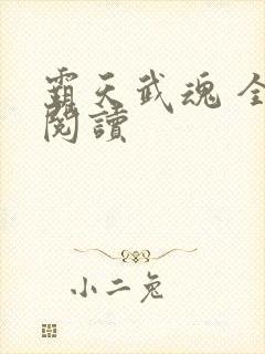 霸天武魂 全文阅读封面