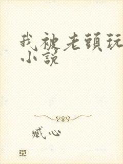 我被老头玩弄的小说封面