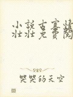 小说古寨情缘安壮壮免费阅读