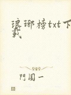 琅琊榜txt下载