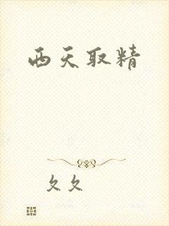 西天取精封面
