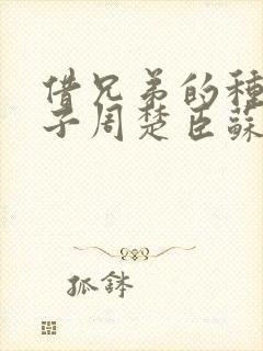 借兄弟的种生孩子周楚臣苏糖