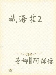 藏海花2封面