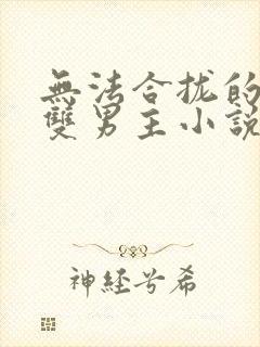 无法合拢的总裁双男主小说