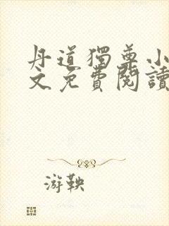 丹道独尊小说全文免费阅读