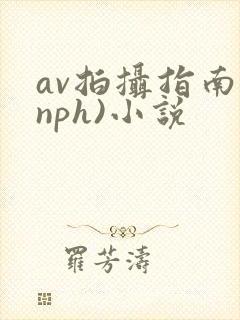 av拍摄指南(nph)小说