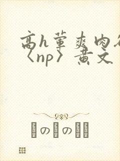 高h荤爽肉欲文〈np〉黄文