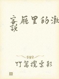 客厅里的激情小说