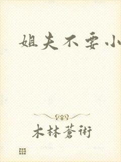 姐夫不要小说