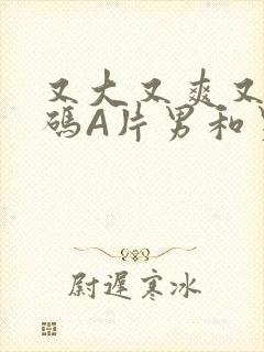 又大又爽又黄无码A片男和男