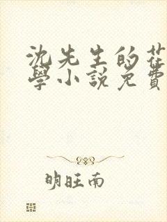 沈先生的花式教学小说免费