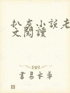 扒灰小说老马全文阅读