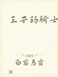 王子的骑士小说