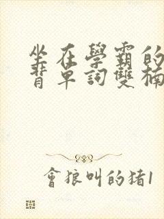 坐在学霸的鸡上背单词双楠