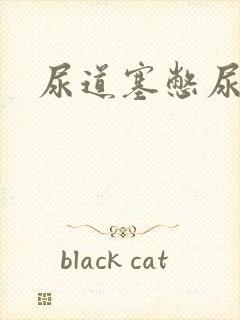 尿道塞憋尿小说封面