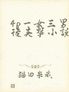 4p一女三男前后夹击小说