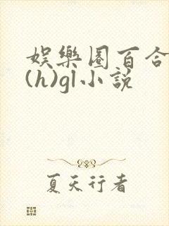 娱乐圈百合h文(h)gl小说封面