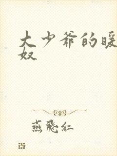 大少爷的暖床小奴