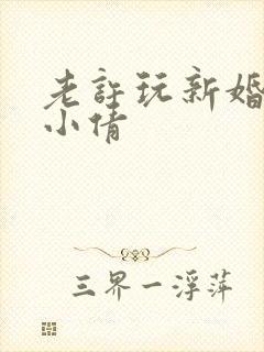 老许玩新婚少妇小倩封面