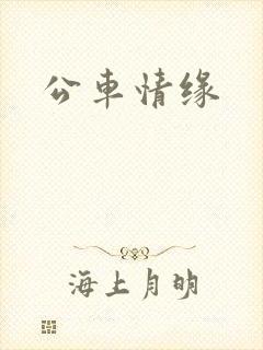 公车情缘