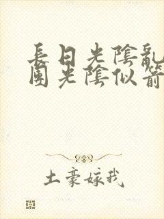 长日光阴乱作一团光阴似箭笔渺封面